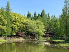 -上海滨江森林公园