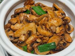 -柴门·头啖汤(天安千树店)