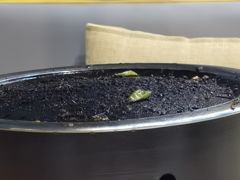 -西昌小院火盆烧烤(新街里店)