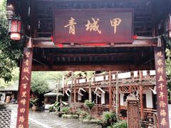 -青城甲(青城山店)