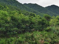 -天台山赤城山景区