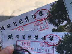 -陕西自然博物馆