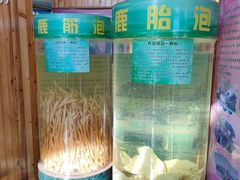 -北京鹿世界主题园