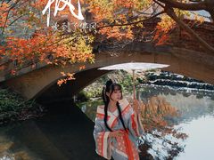 -田野绿世界