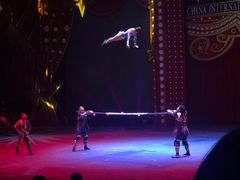 -珠海横琴长隆《卡卡虎奇遇记》