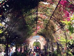 -The Grounds of Alexandria