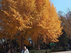 -玲珑塔公园