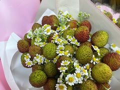 -儒之堂足道·SPA·推拿(莫干山路店)