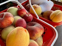 -北纬44度·金珠花海休闲农业旅游景区