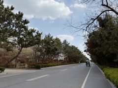 -山东八大碗山东老字号