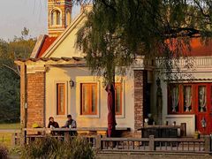 -上海共青森林公园