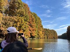 -上海海湾国家森林公园