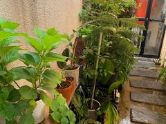 -About Bistro關於·泰式家庭料理