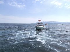 -三亚海棠湾喜来登度假酒店