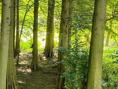 -溱湖国家湿地公园