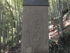 -严子陵钓台(富春江小三峡)