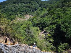 -广州白江湖森林公园