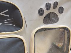 -康爱犬猫诊所·牙专科·骨外科·影像内科(丰宁店)