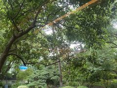 -浙江西子宾馆·瑶园咖啡厅