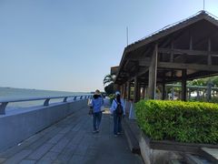 -大湾区中央湿地公园