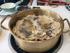 -阿鹏故事野生菌火锅(古城店)