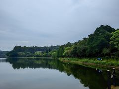 -南国桃园旅游度假区