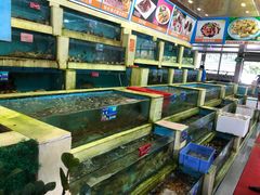 水产区-旺富东海大酒楼(海鲜街店)