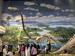 -自贡恐龙博物馆