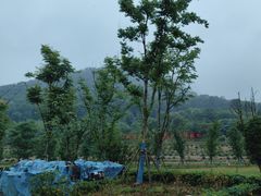 -老山国家森林公园