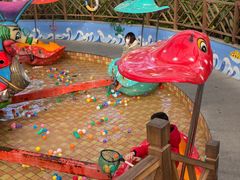 -南宫五洲植物乐园