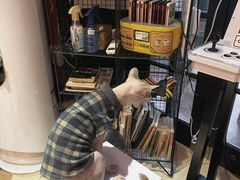 -猫色咖啡·猫咖
