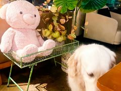 -咖法森林·咖啡  酒吧(天河店)