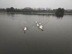 -浙江农林大学(东湖校区)