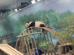 -杭州动物园