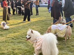 -上海神旺大酒店