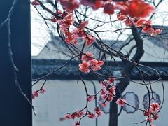 -黎里古镇