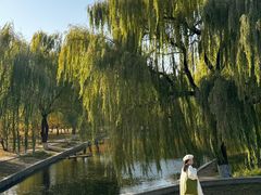 -石家庄市植物园