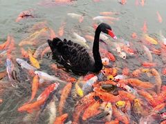 -春晖园度假酒店温泉