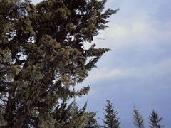 -鳌山滑雪度假区