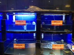 水产区-香邦迷宗蟹(新汽车站店)