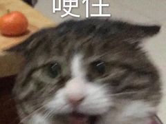 -胖哥俩肉蟹煲(来福士店)
