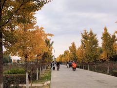 -汉景帝阳陵博物院