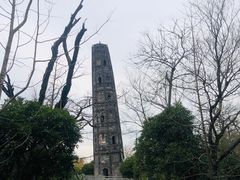 -上海佘山国家森林公园天马山园