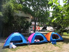 -前小桔亲子创意农场·草莓采摘·露营烧烤