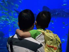 -成都浩海立方海洋公园