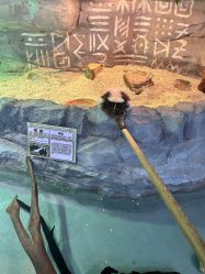 -Zoolung Zoolung动物主题公园(海信广场店)