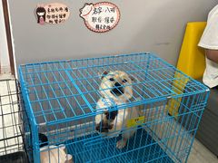 -众联宠物医院
