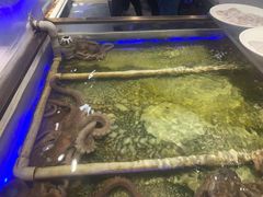-诱货海鲜自助火锅(爱琴海购物公园东百店)