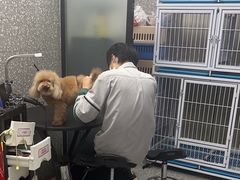 -宠物家(角门东店)
