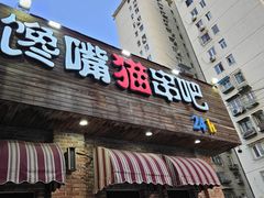 -馋嘴猫•北京食堂•烧烤宵夜(亚运村店)